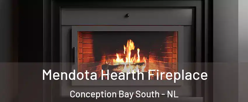  Mendota Hearth Fireplace Conception Bay South - NL