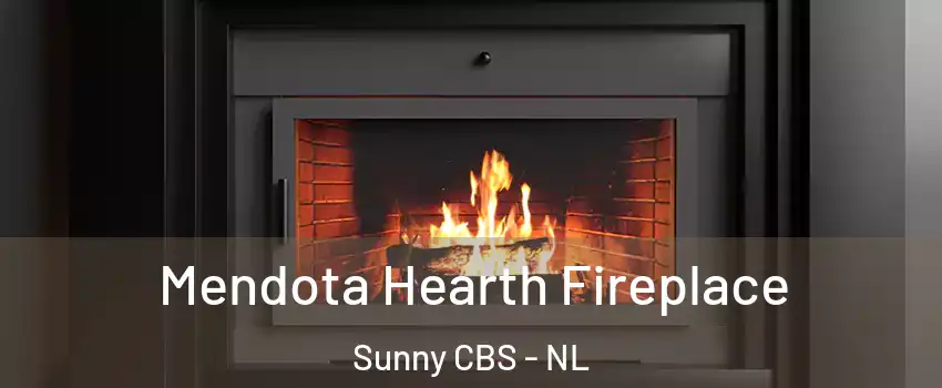  Mendota Hearth Fireplace Sunny CBS - NL