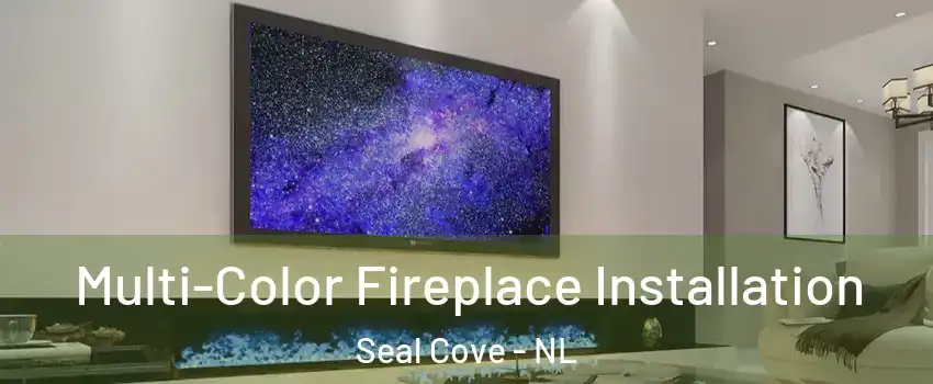  Multi-Color Fireplace Installation Seal Cove - NL