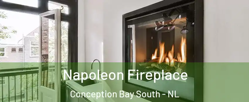  Napoleon Fireplace Conception Bay South - NL