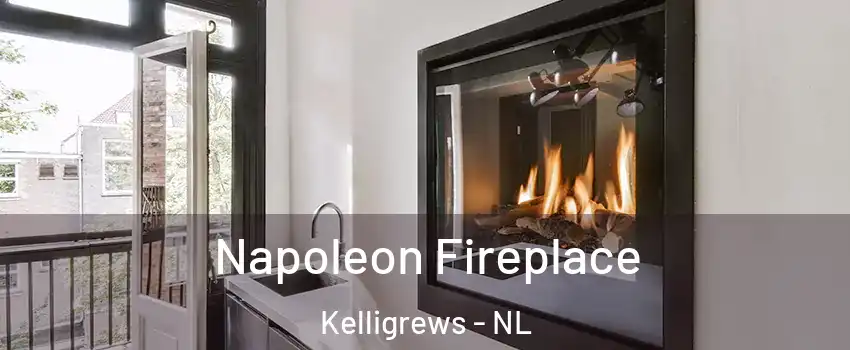  Napoleon Fireplace Kelligrews - NL