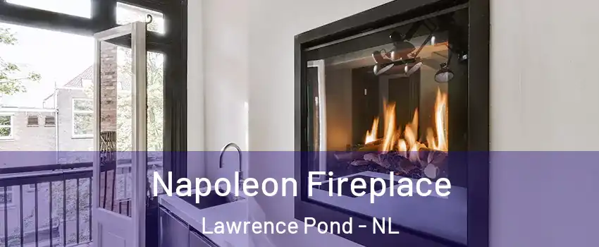  Napoleon Fireplace Lawrence Pond - NL