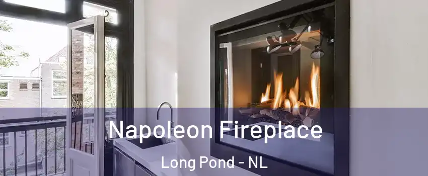  Napoleon Fireplace Long Pond - NL