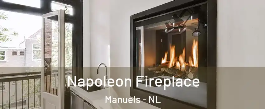  Napoleon Fireplace Manuels - NL