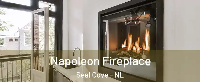  Napoleon Fireplace Seal Cove - NL