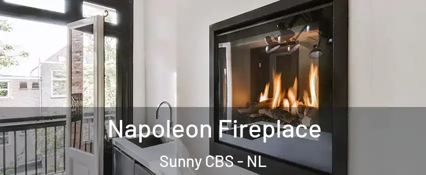  Napoleon Fireplace Sunny CBS - NL