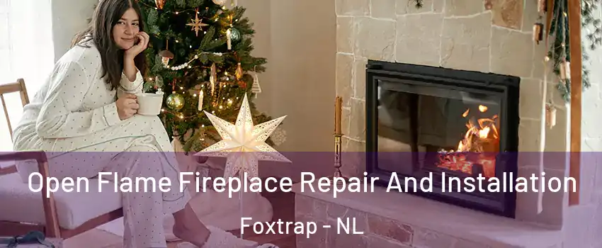  Open Flame Fireplace Repair And Installation Foxtrap - NL