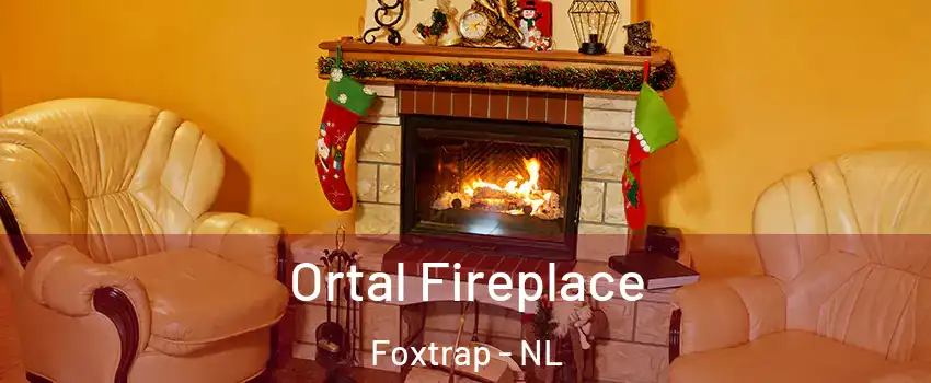  Ortal Fireplace Foxtrap - NL