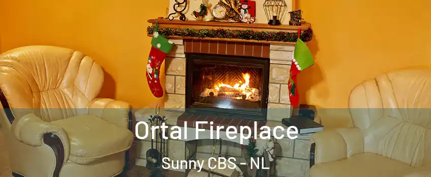 Ortal Fireplace Sunny CBS - NL