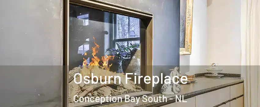  Osburn Fireplace Conception Bay South - NL
