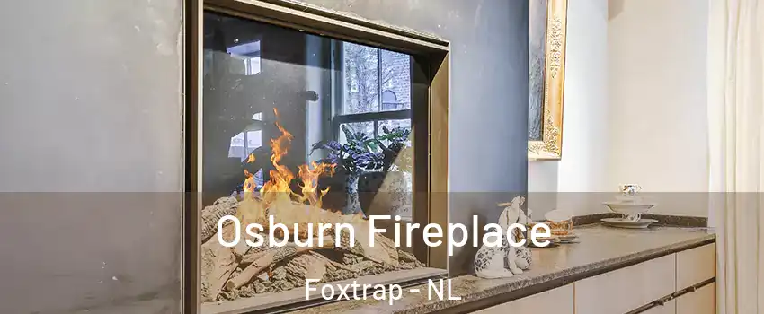  Osburn Fireplace Foxtrap - NL