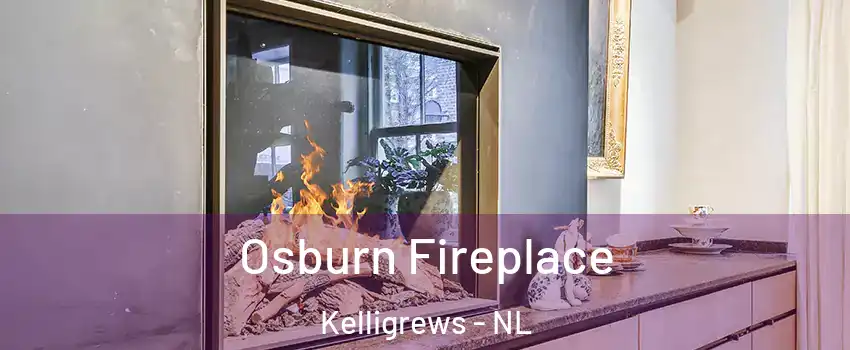  Osburn Fireplace Kelligrews - NL