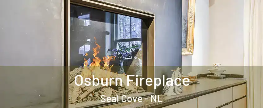  Osburn Fireplace Seal Cove - NL