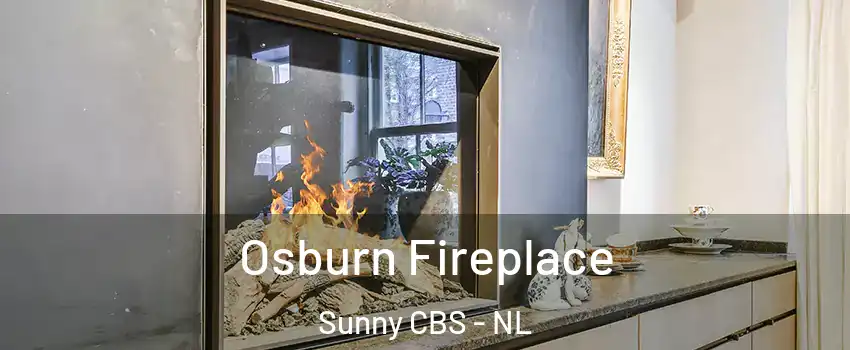  Osburn Fireplace Sunny CBS - NL