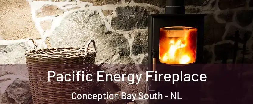  Pacific Energy Fireplace Conception Bay South - NL