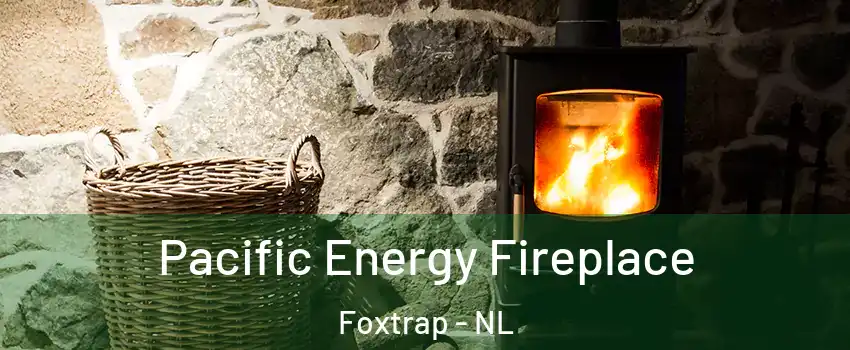 Pacific Energy Fireplace Foxtrap - NL