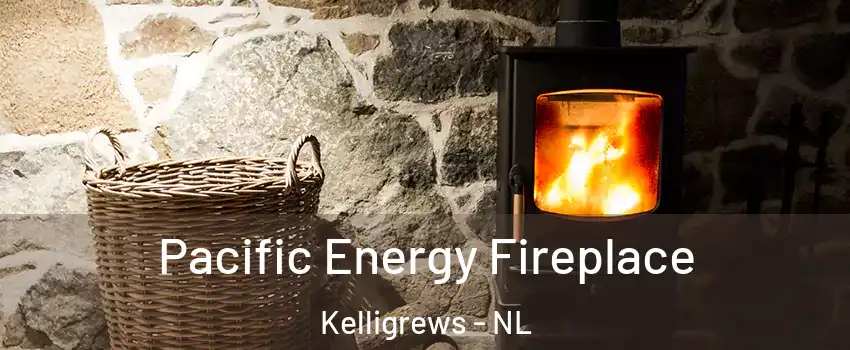  Pacific Energy Fireplace Kelligrews - NL