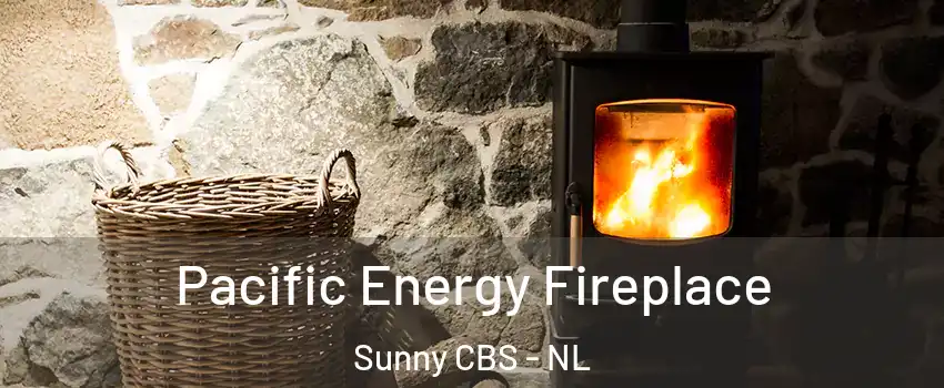  Pacific Energy Fireplace Sunny CBS - NL