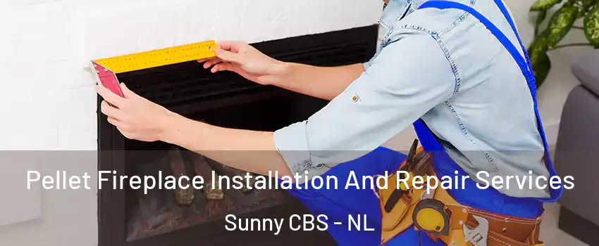  Pellet Fireplace Installation And Repair Services Sunny CBS - NL