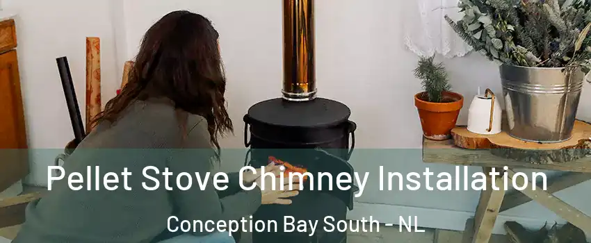  Pellet Stove Chimney Installation Conception Bay South - NL