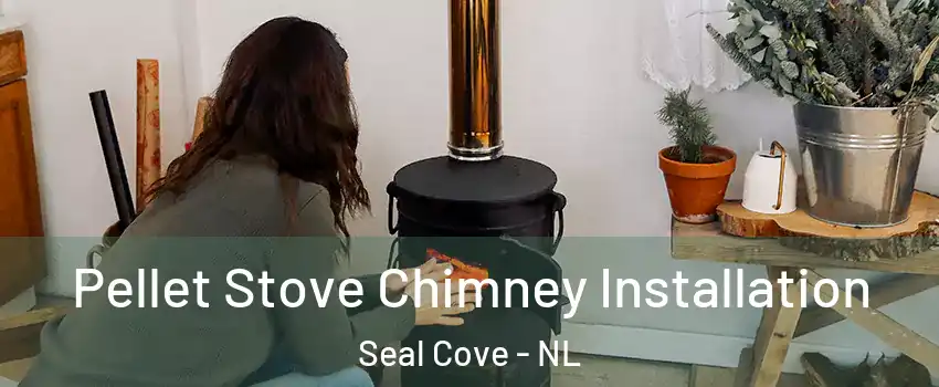  Pellet Stove Chimney Installation Seal Cove - NL
