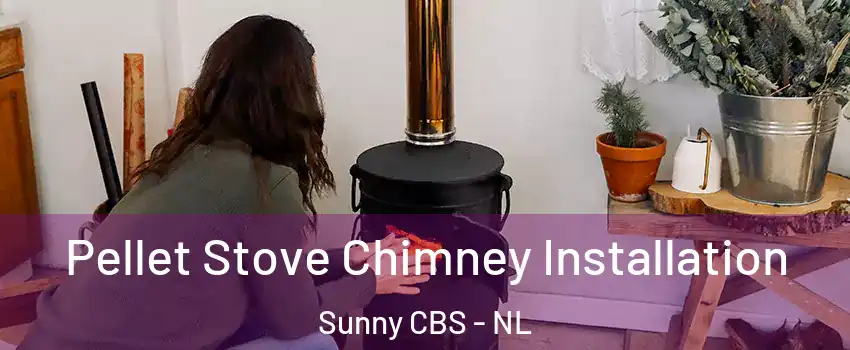  Pellet Stove Chimney Installation Sunny CBS - NL