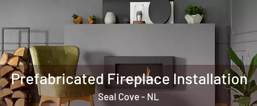  Prefabricated Fireplace Installation Seal Cove - NL