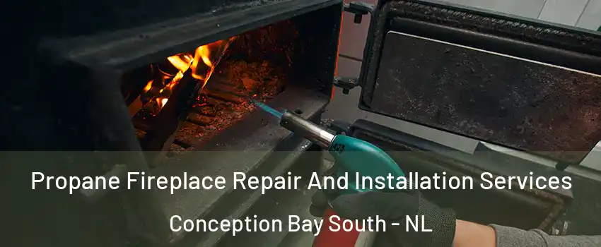  Propane Fireplace Repair And Installation Services Conception Bay South - NL