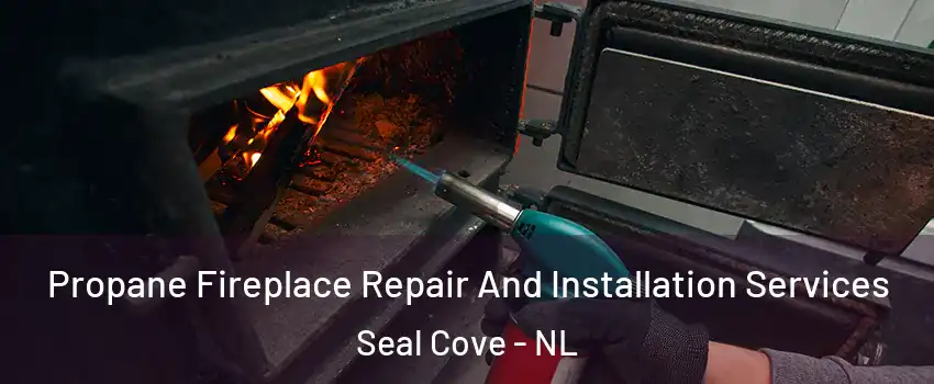  Propane Fireplace Repair And Installation Services Seal Cove - NL