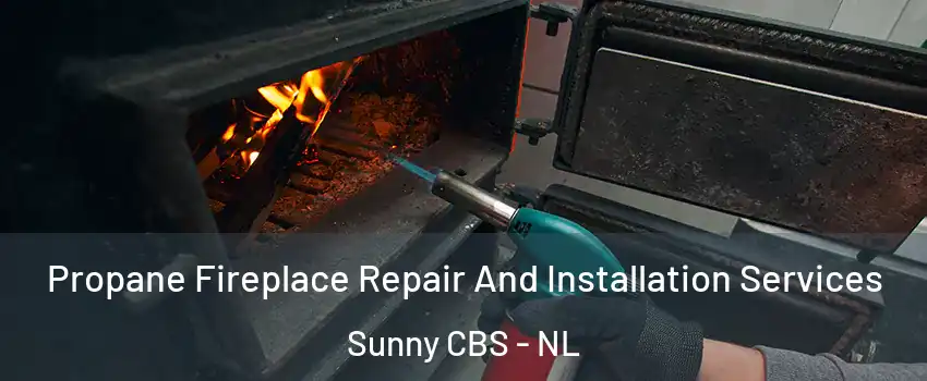  Propane Fireplace Repair And Installation Services Sunny CBS - NL