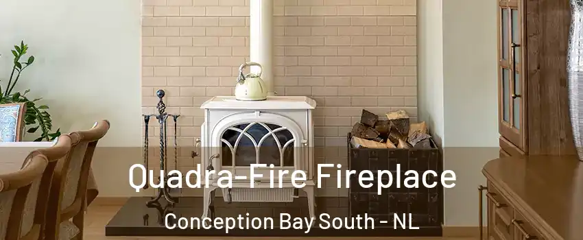  Quadra-Fire Fireplace Conception Bay South - NL