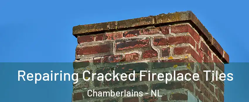  Repairing Cracked Fireplace Tiles Chamberlains - NL
