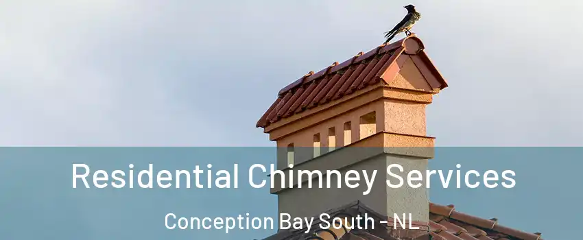  Residential Chimney Services Conception Bay South - NL