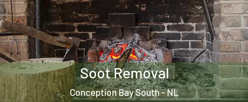  Soot Removal Conception Bay South - NL
