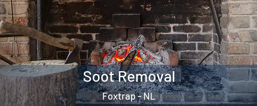  Soot Removal Foxtrap - NL