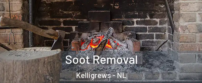  Soot Removal Kelligrews - NL