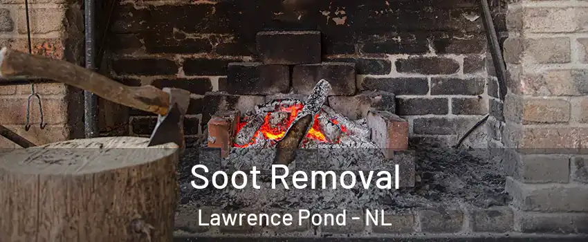  Soot Removal Lawrence Pond - NL