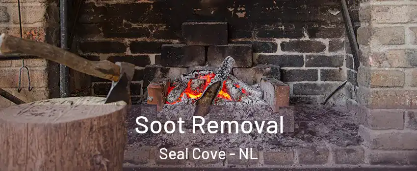  Soot Removal Seal Cove - NL