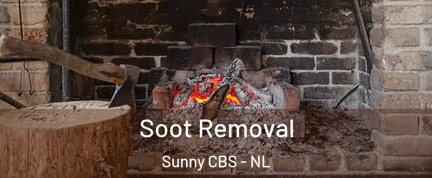  Soot Removal Sunny CBS - NL