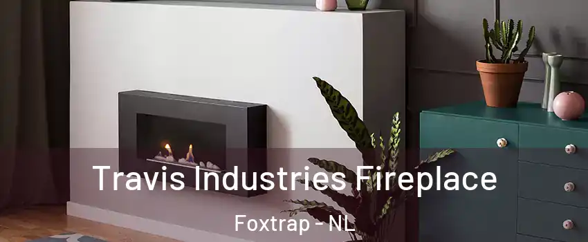  Travis Industries Fireplace Foxtrap - NL