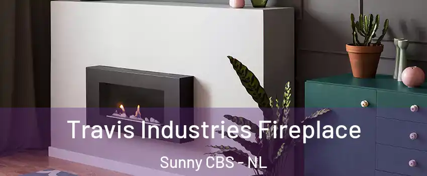  Travis Industries Fireplace Sunny CBS - NL