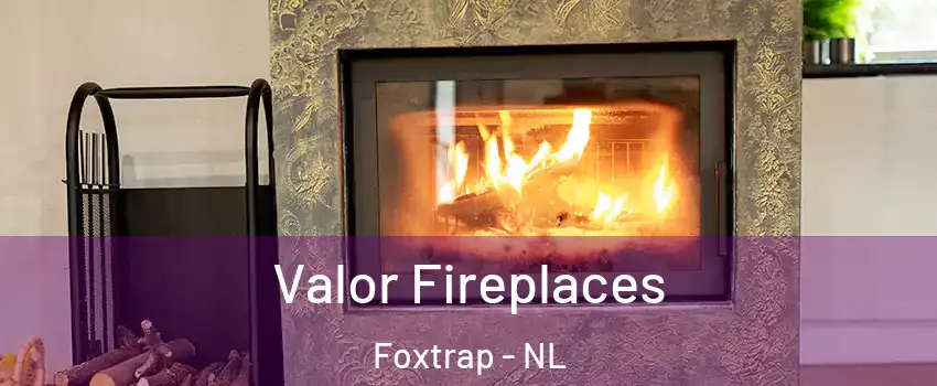  Valor Fireplaces Foxtrap - NL
