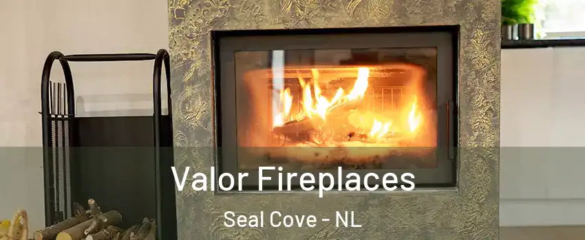  Valor Fireplaces Seal Cove - NL