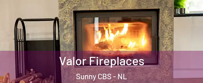  Valor Fireplaces Sunny CBS - NL