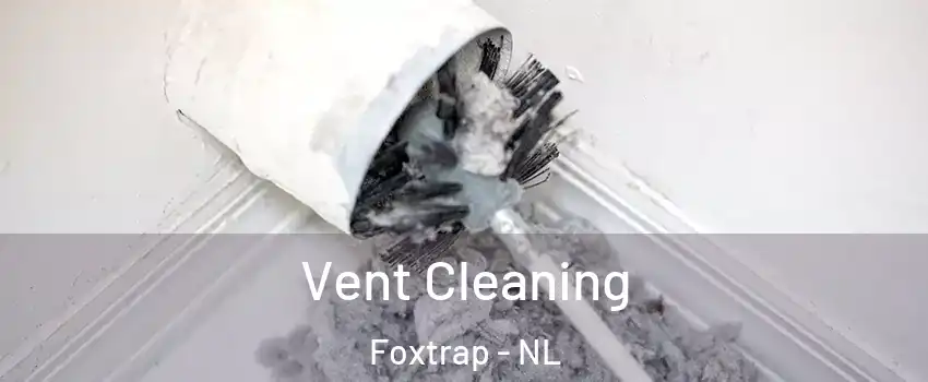  Vent Cleaning Foxtrap - NL