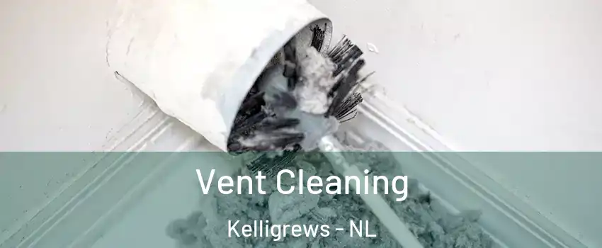  Vent Cleaning Kelligrews - NL