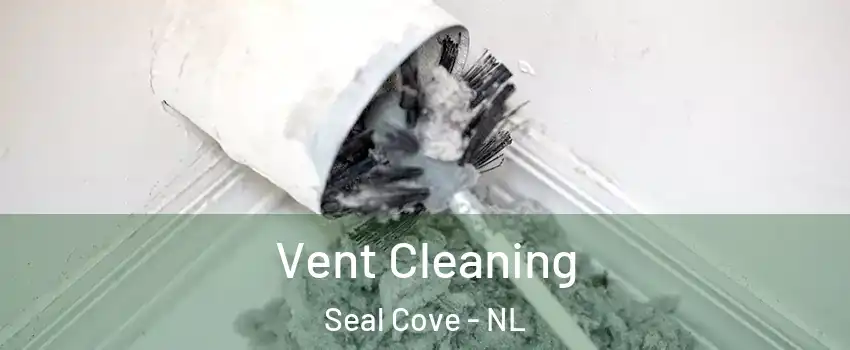  Vent Cleaning Seal Cove - NL