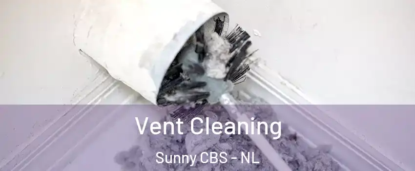  Vent Cleaning Sunny CBS - NL