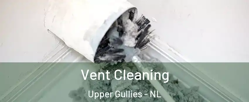  Vent Cleaning Upper Gullies - NL
