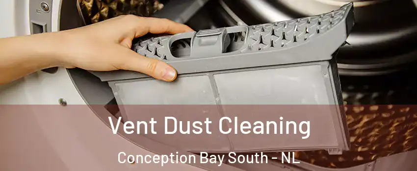  Vent Dust Cleaning Conception Bay South - NL